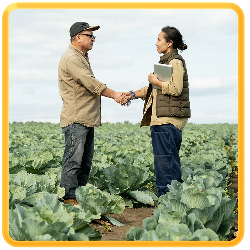 Campos de Oportunidad