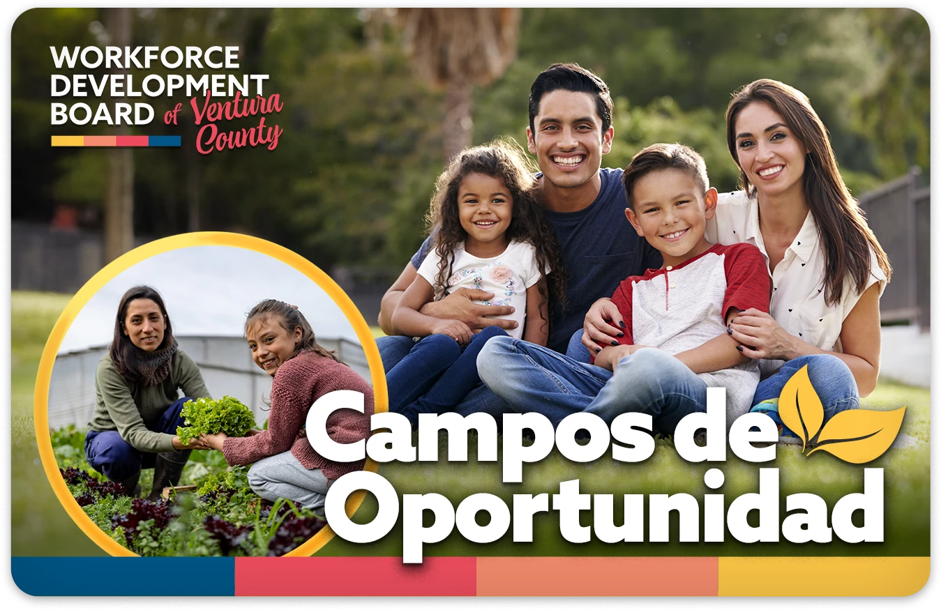 Campos de Oportunidad