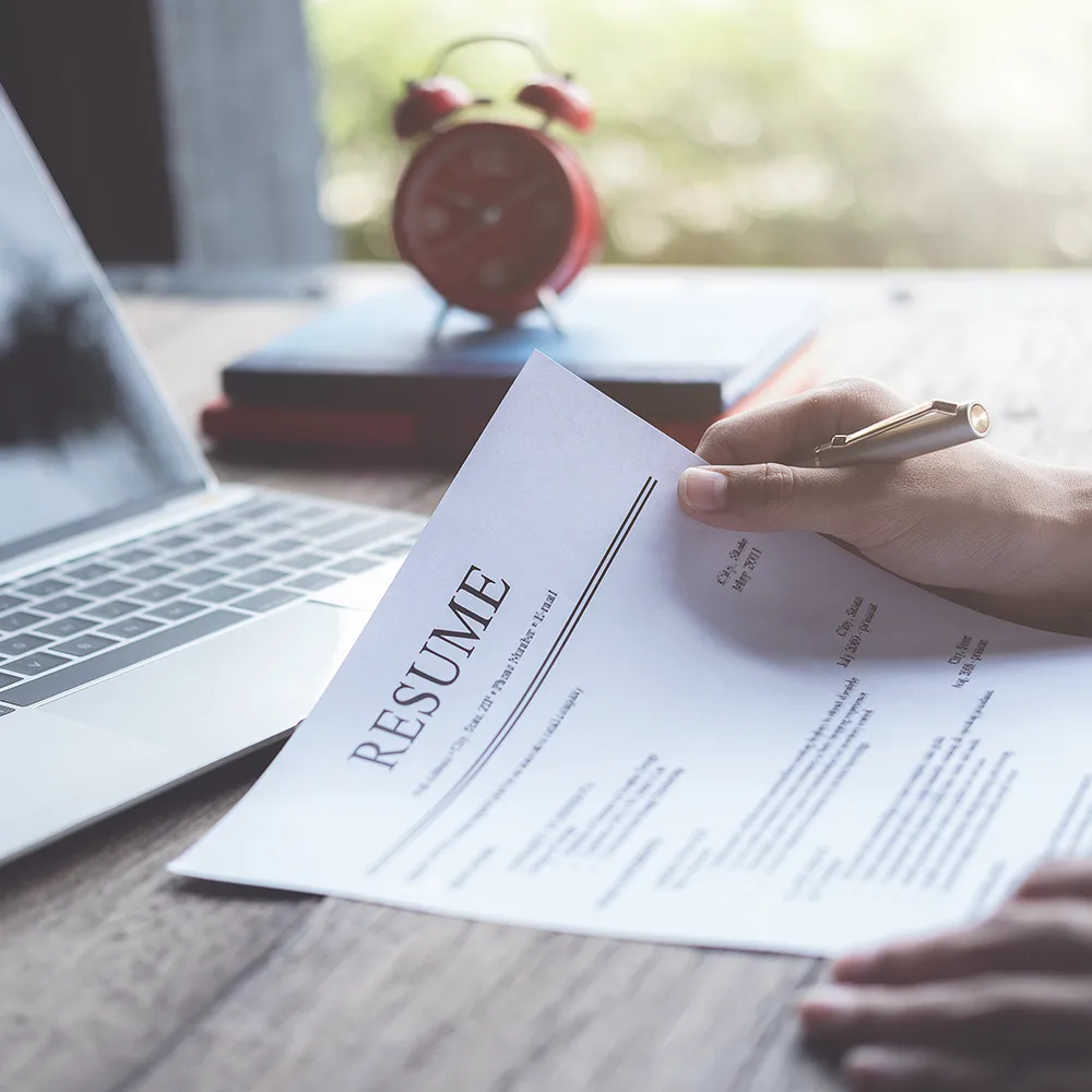 Website - Job Search